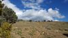 Toll Road ~ Omboli Ranch photo